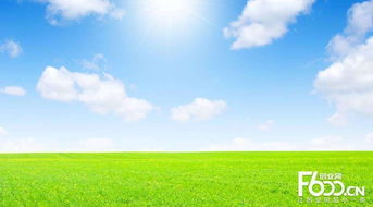 睿容空氣凈化器加盟指南 加盟費(fèi)、官網(wǎng)、條件流程及政策支持解析